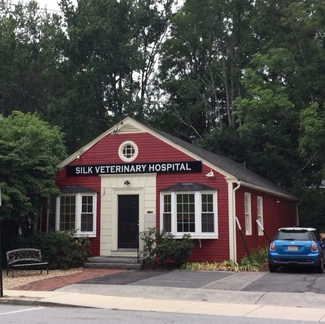 Silk Veterinary Hospital Picture 3