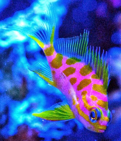 FISH and other ICHTHY stuff Picture 8