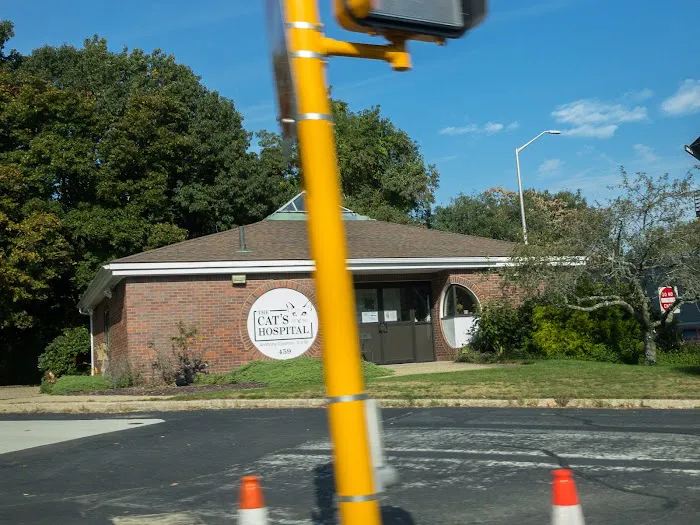 The Cat's Hospital, LLC Picture 1