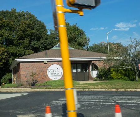 The Cat's Hospital, LLC