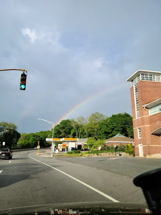 The Cat's Hospital, LLC Picture 3