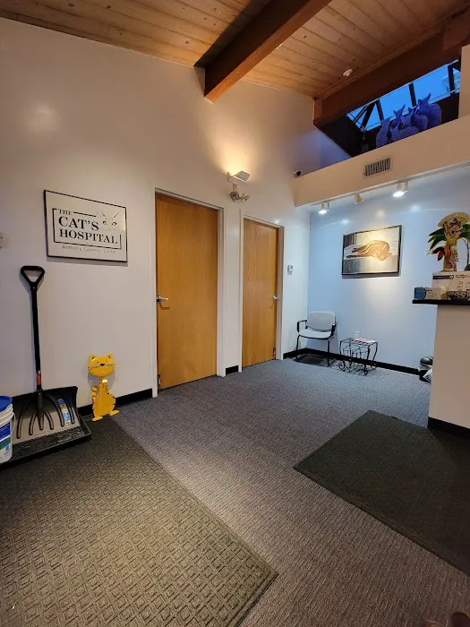 The Cat's Hospital, LLC Picture 2