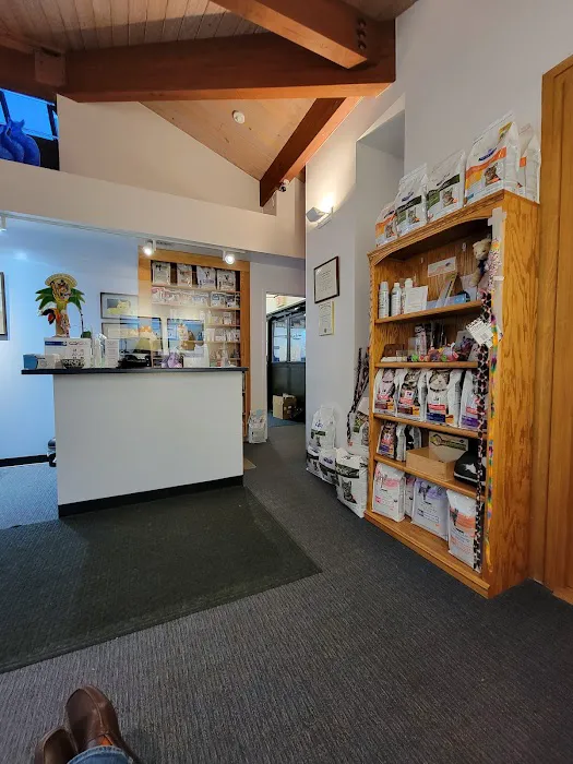 The Cat's Hospital, LLC Picture 5