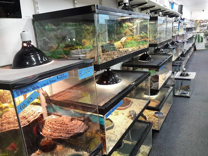 Herp Hobby Shop Reptile Breeding Center Picture 3