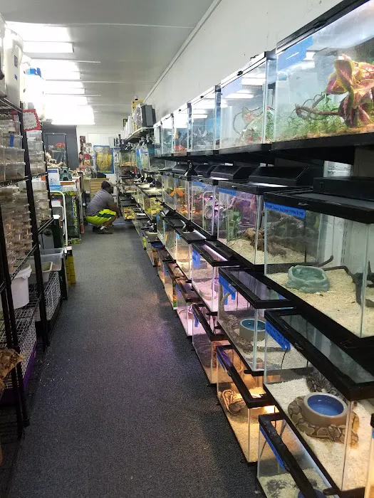 Herp Hobby Shop Reptile Breeding Center Picture 6