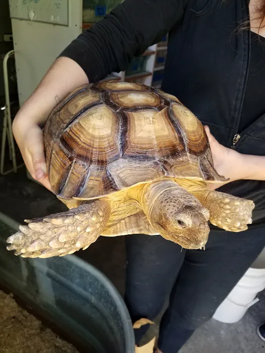 Herp Hobby Shop Reptile Breeding Center Picture 4