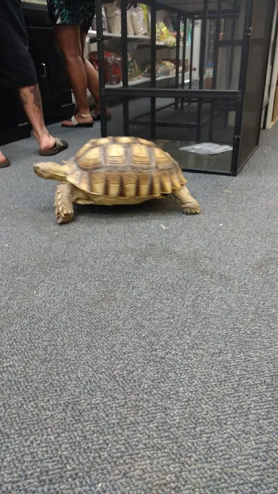 Herp Hobby Shop Reptile Breeding Center Picture 7