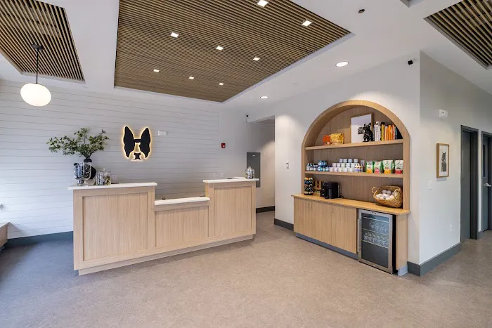 Boston Veterinary Clinic Picture 1