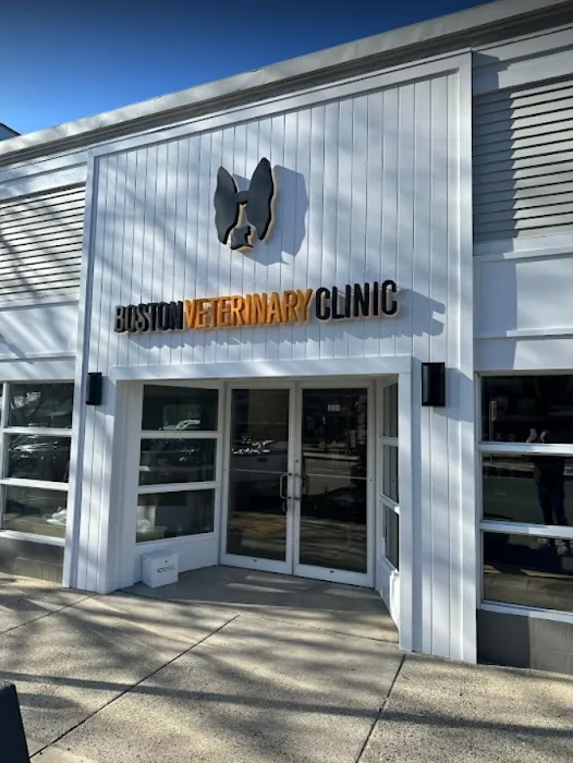Boston Veterinary Clinic Picture 2