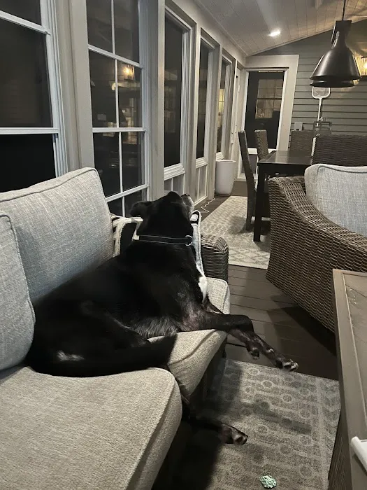 Boston Veterinary Clinic Picture 5