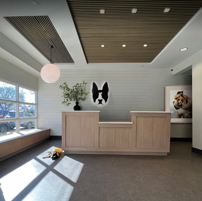 Boston Veterinary Clinic Picture 10