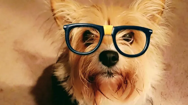 Park Feed Store & Pet Supply Picture 3