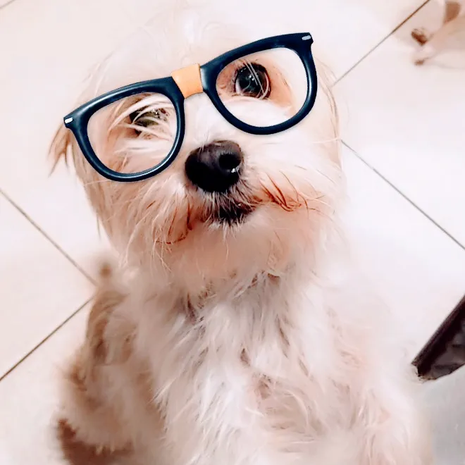 Park Feed Store & Pet Supply Picture 6