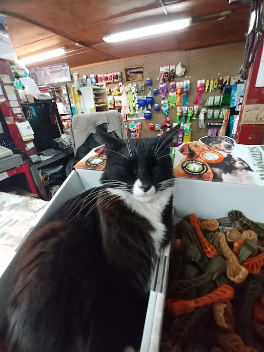 Park Feed Store & Pet Supply Picture 4