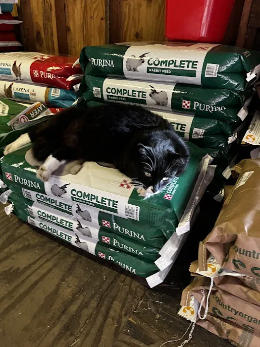 Park Feed Store & Pet Supply Picture 10