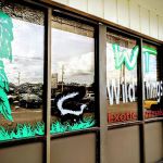 Wild Things Exotic Animals