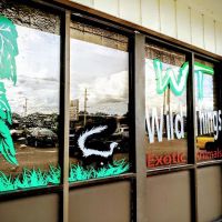 Wild Things Exotic Animals ico