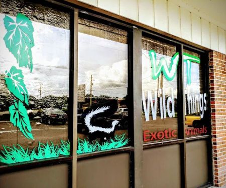 Wild Things Exotic Animals