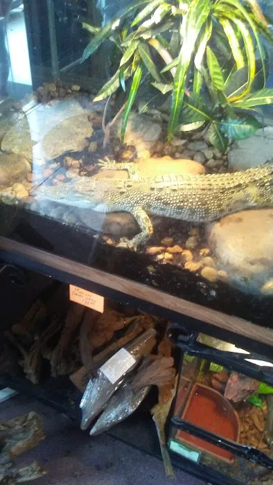 Wild Things Exotic Animals Picture 2