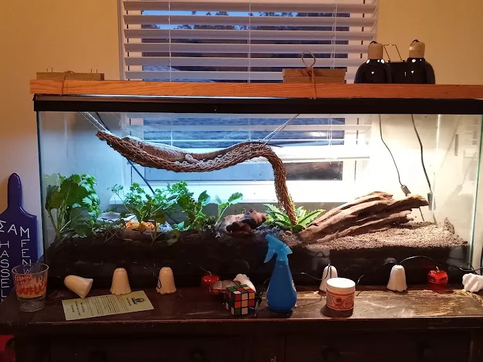 Wild Things Exotic Animals Picture 3