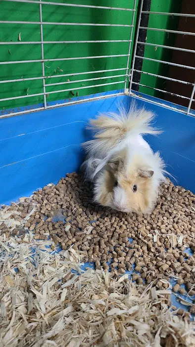 Wild Things Exotic Animals Picture 6