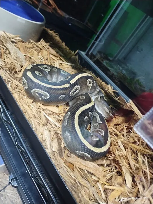 Wild Things Exotic Animals Picture 9