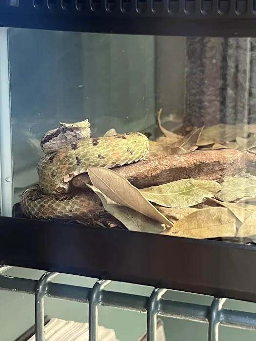 Wild Things Exotic Animals Picture 7