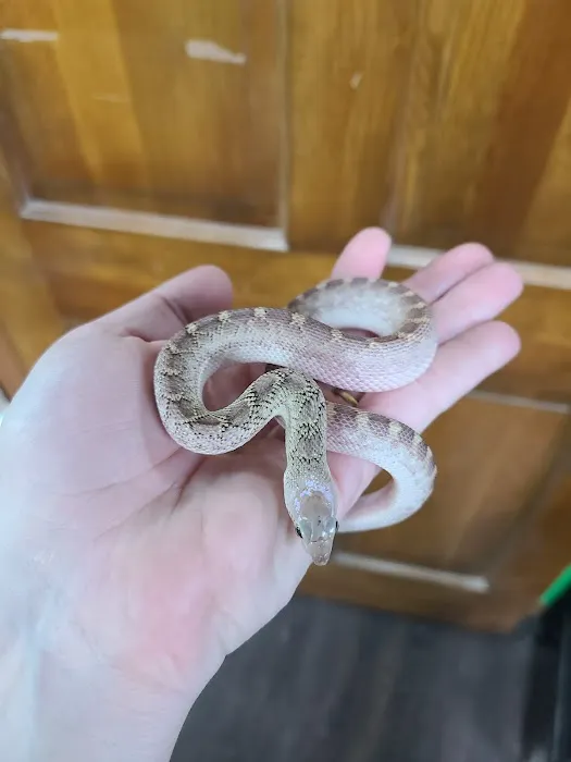 Wild Things Exotic Animals Picture 8