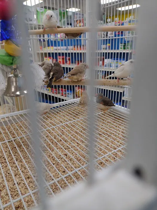Pet Supermarket Picture 3