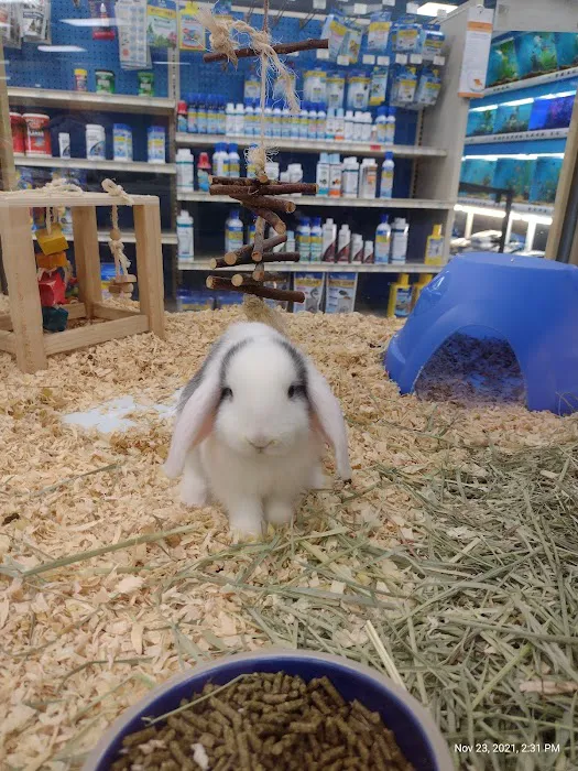 Pet Supermarket Picture 1