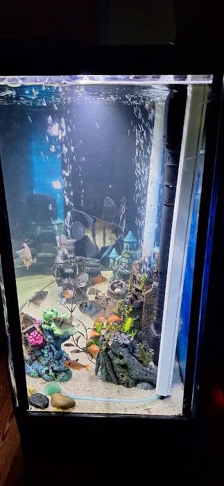 Pet Supermarket Picture 5