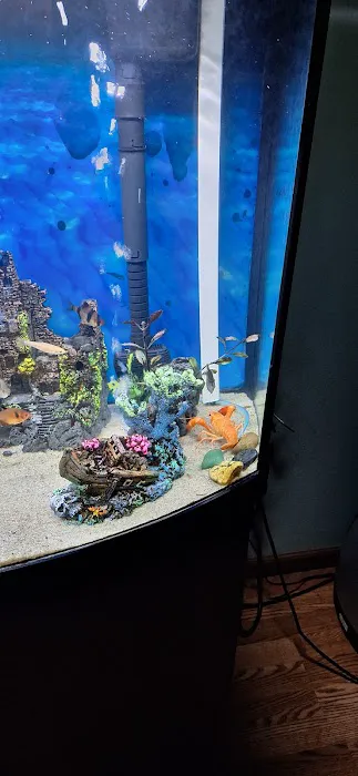 Pet Supermarket Picture 7