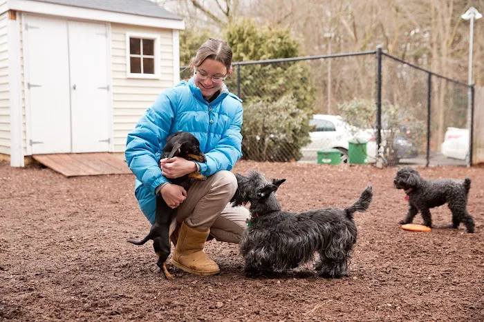 Highland Animal Hospital Picture 3