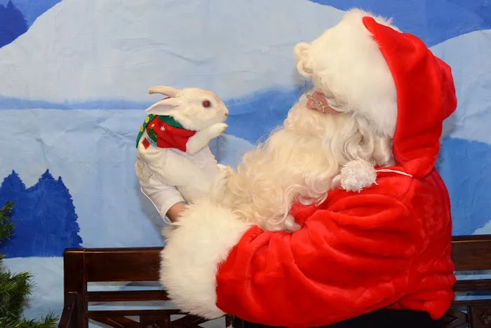 Highland Animal Hospital Picture 1