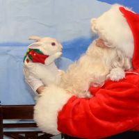 Highland Animal Hospital ico