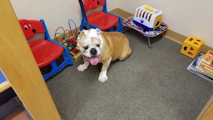 Highland Animal Hospital Picture 10