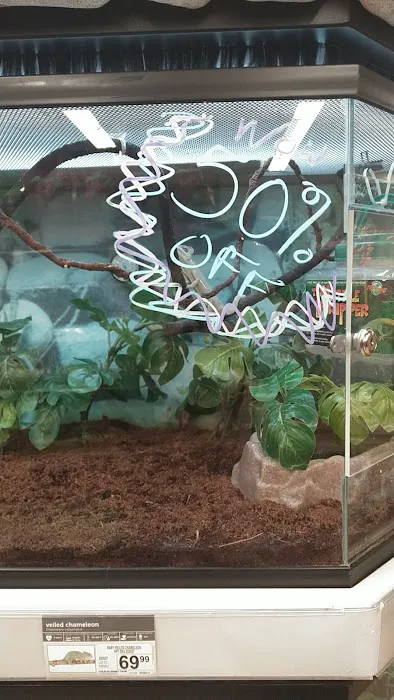 Petco Picture 3