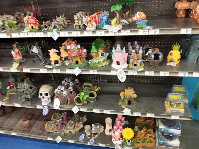 Petco Picture 6