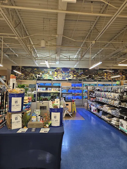 Petco Picture 8