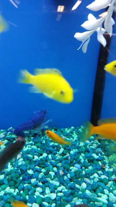 Petco Picture 9