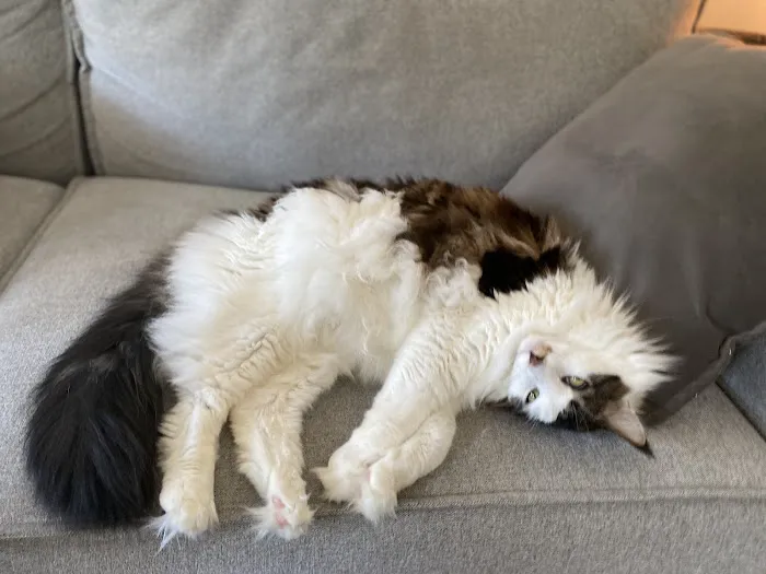 Family Friends Veterinary Hospital Picture 1