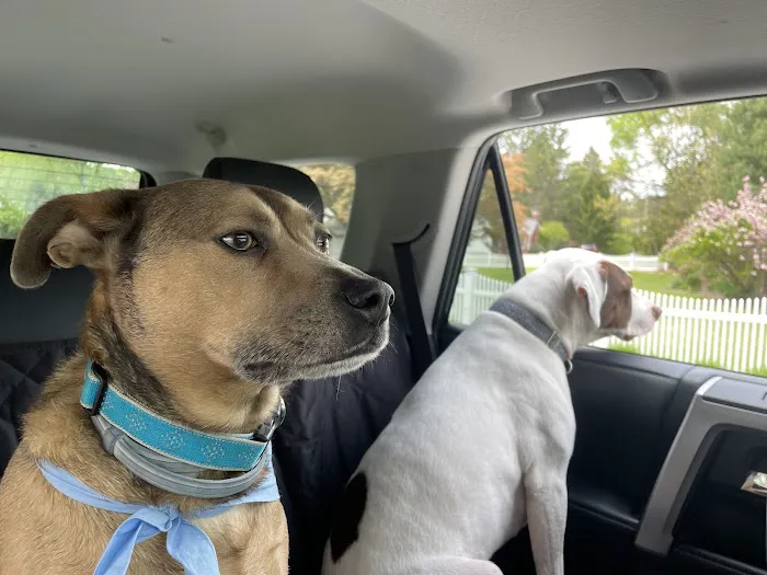 Family Friends Veterinary Hospital Picture 6