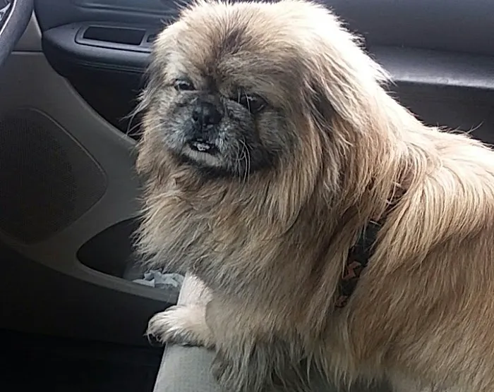 Family Friends Veterinary Hospital Picture 9