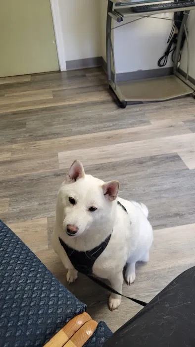 Family Friends Veterinary Hospital Picture 7