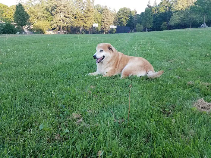 Family Friends Veterinary Hospital Picture 8