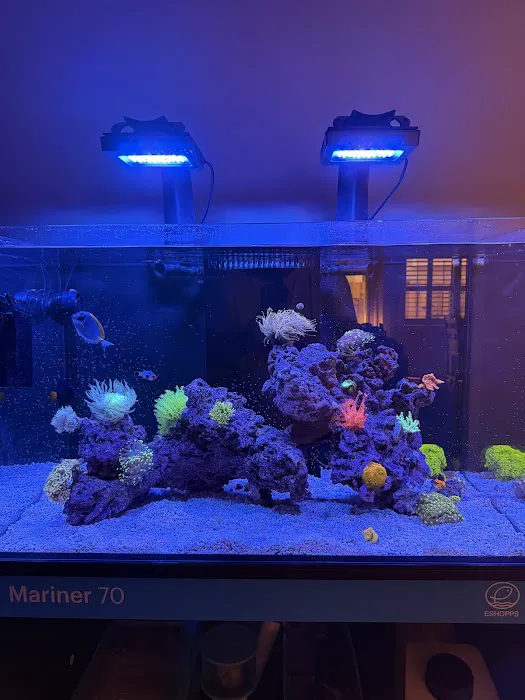 Cardinal Aquariums Picture 2