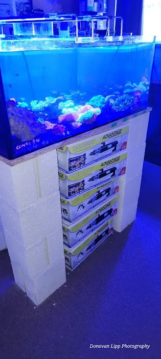 Cardinal Aquariums Picture 5