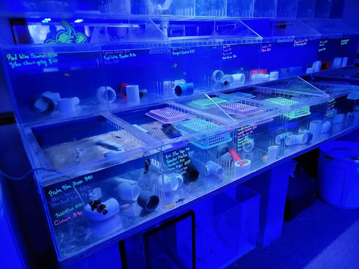 Cardinal Aquariums Picture 4