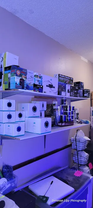 Cardinal Aquariums Picture 7