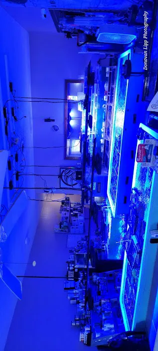 Cardinal Aquariums Picture 9